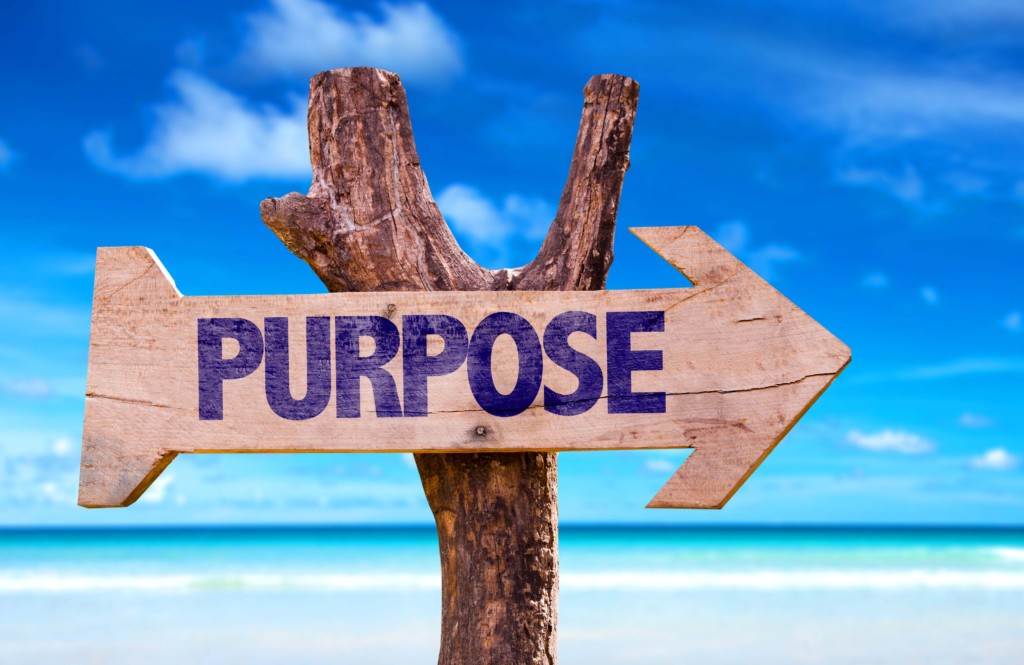 Purpose wooden sign with beach background BlikOpener